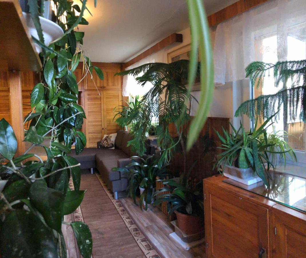 דירות Apartman Olesnik מראה חיצוני תמונה