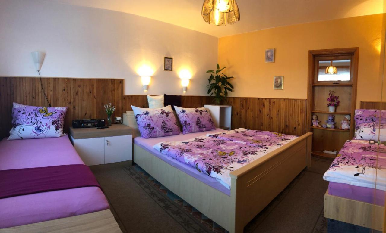 דירות Apartman Olesnik מראה חיצוני תמונה